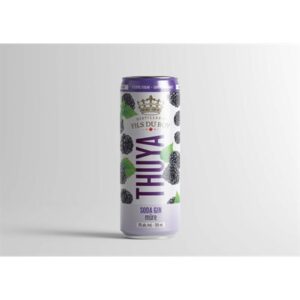 Distillerie Fils Du Roy Thuya Soda Gin Mûre Blackberry 355ml